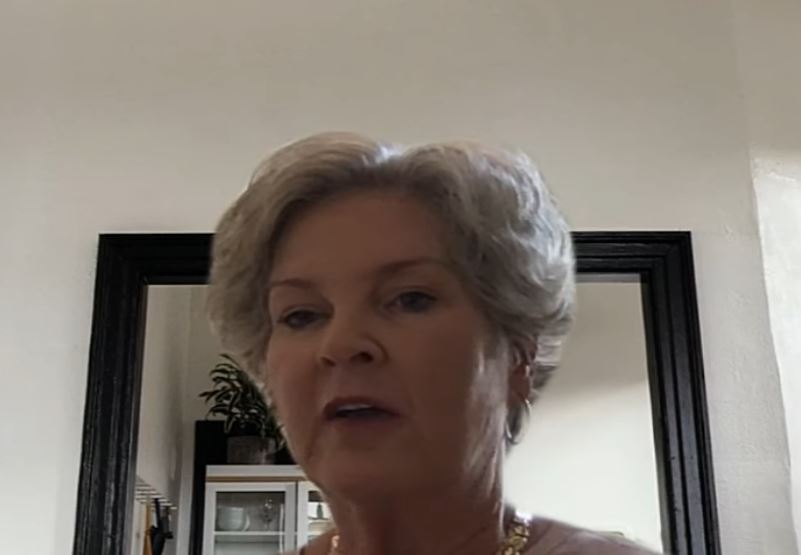 Susie Wiles Salary, Net Worth, Income, Financial Career